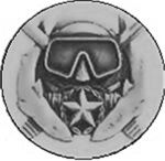 RSFT naval division