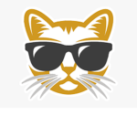 The Crazy Cool Cats