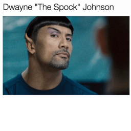 Survival The Rock The Killer