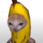 THE BANANA BUNCH CAFE