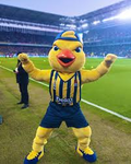 Atapprolar KİNG