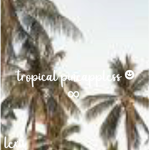 Tropical Pineappless