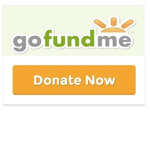 Go Fund Me in ROBLOX