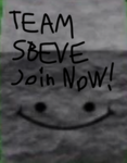 Sbeve raiding team