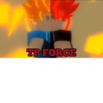 Time Patroller Force