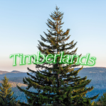 TimberFront Co.