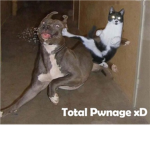 The Epic Pwners!!! (T.E.P)