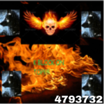 Kasdoo_Online
