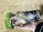 ProjectZoro