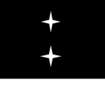 Twin Star Fleet