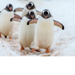 Friends group!!!!!!!!!!!!!!!!!!