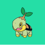 Turtwig Ninja Warrior