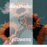 Ästhetik~Blumen