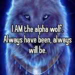 The Alpha Wolf Studios