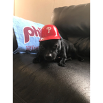 Fwoggies