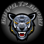 GRUPO_T7_GGPRO