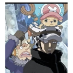 Law and tony tony chopper