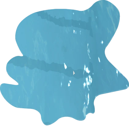 A puddle?