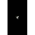 Mstfzk