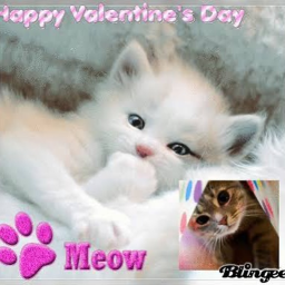 kawaii valetines day