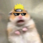 Hamster 111