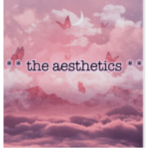 ** the aesthetics **