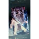 Big Rat Club