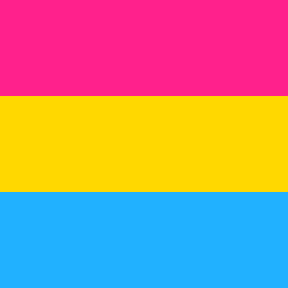 Pan Flag Roblox decal
