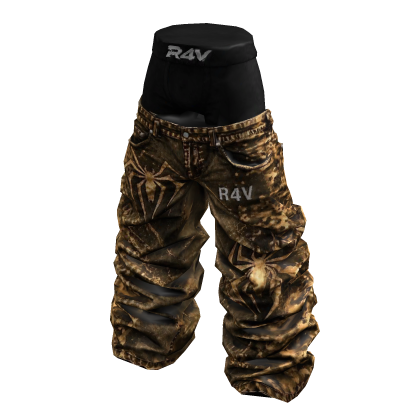 R4V SP 13
