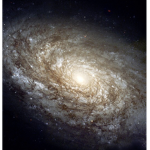 Cosmic plates