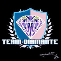 Team torre diamantes works