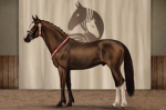-Ribbon Rage Equestrian-