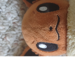 Eevee evolution Funtime group