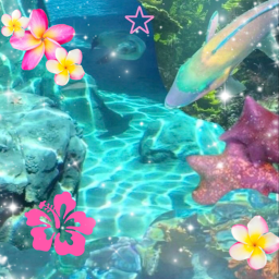 ☆*:・ﾟ