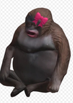 Furrys brasileiros