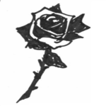 -Black Rose-
