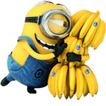Minion USA