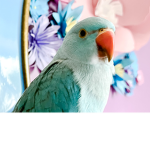 The great blue bird