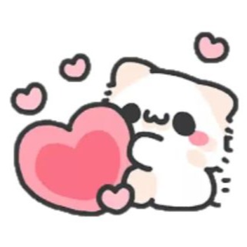 Hi