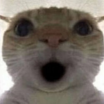 哨兵部
