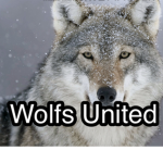 Wolfs United..