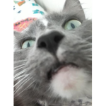 carlosisagoodboynice