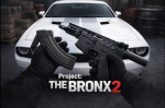 PROJECT THE BRONX 2