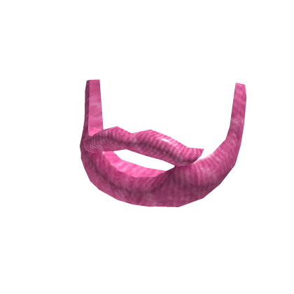 RBXLeaks - DIY Pink Beard
