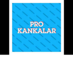 Pro Knkler