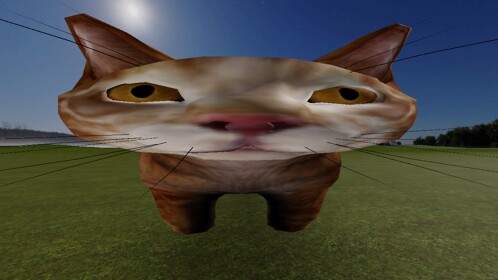 katze
