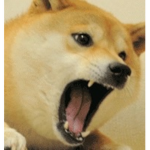 The doge united (doge)