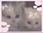 LuluStorexx Group Thumbnail