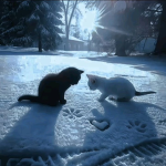 Snowy...Place...