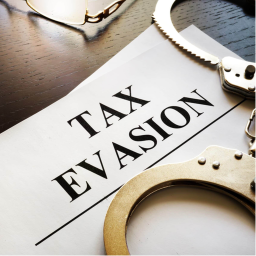 Arin's Tax Evasion Game
